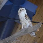 OTRA2013_1963 (July 21, 2013)